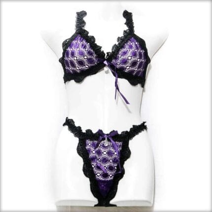 Fancy Net Purple Bikini Set Panty