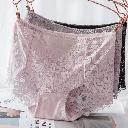Net Briefs Underwear Panty