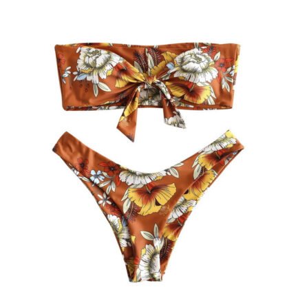 Sexy Printed Ladies Bikini Split